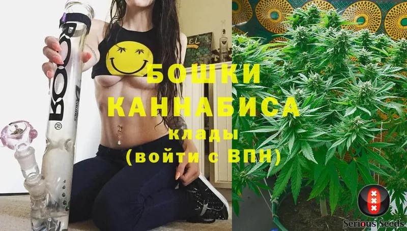 Конопля THC 21%  ссылка на мегу зеркало  Гаджиево  где купить наркоту 